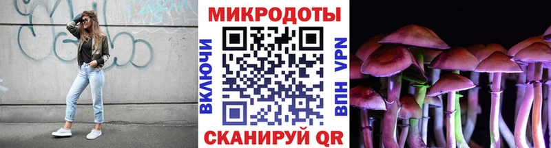 дарнет шоп  Кинешма  Псилоцибиновые грибы Magic Shrooms 