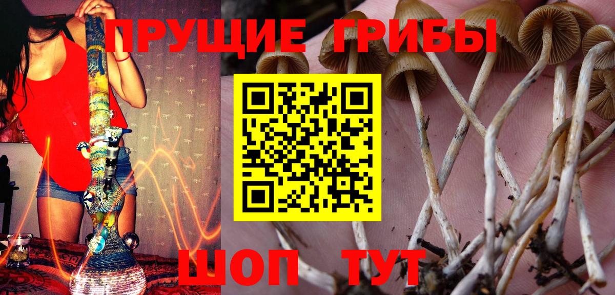 Кинешма  Псилоцибиновые грибы Magic Shrooms  Вход с VPN 